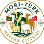 moriturk